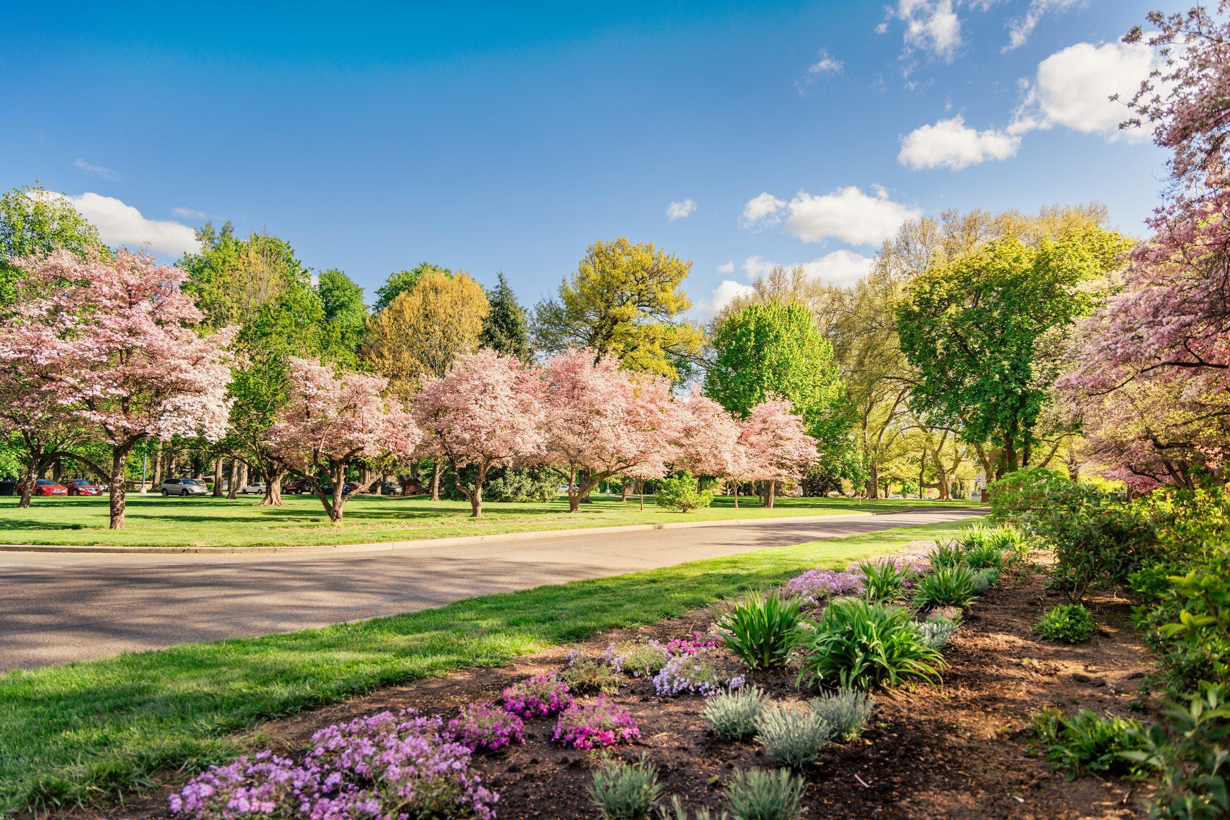 Pioneer Park