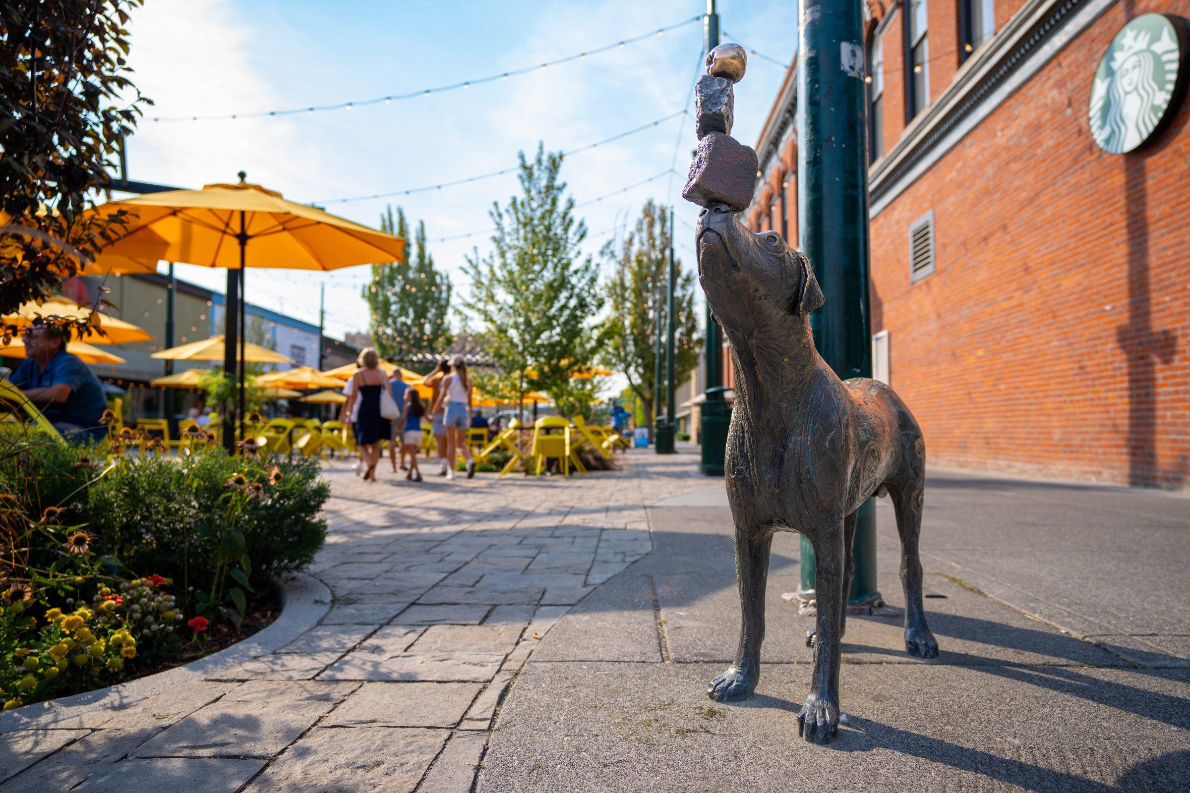 Pet-Friendly Stays