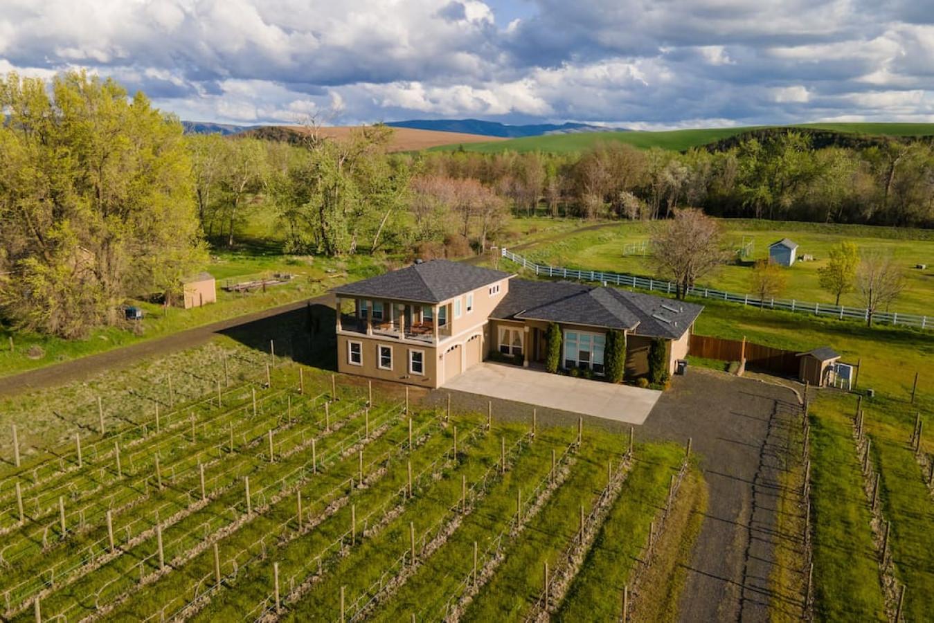 Vineyard View Estate