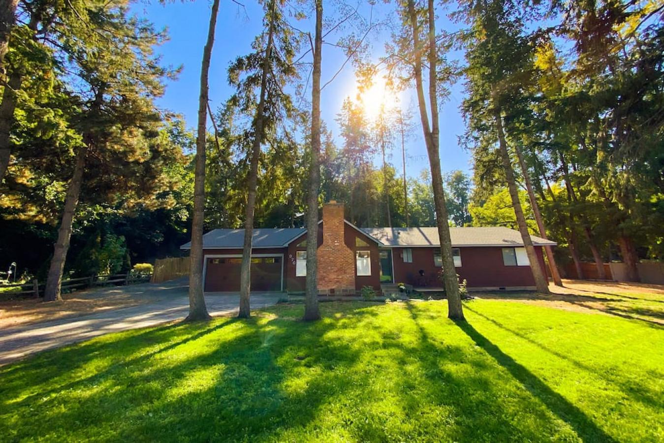 The Pines